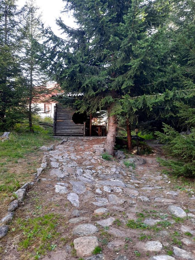 Луксозен Апартамент - "Моето Щастливо Място"- Смолянски Езера Dış mekan fotoğraf